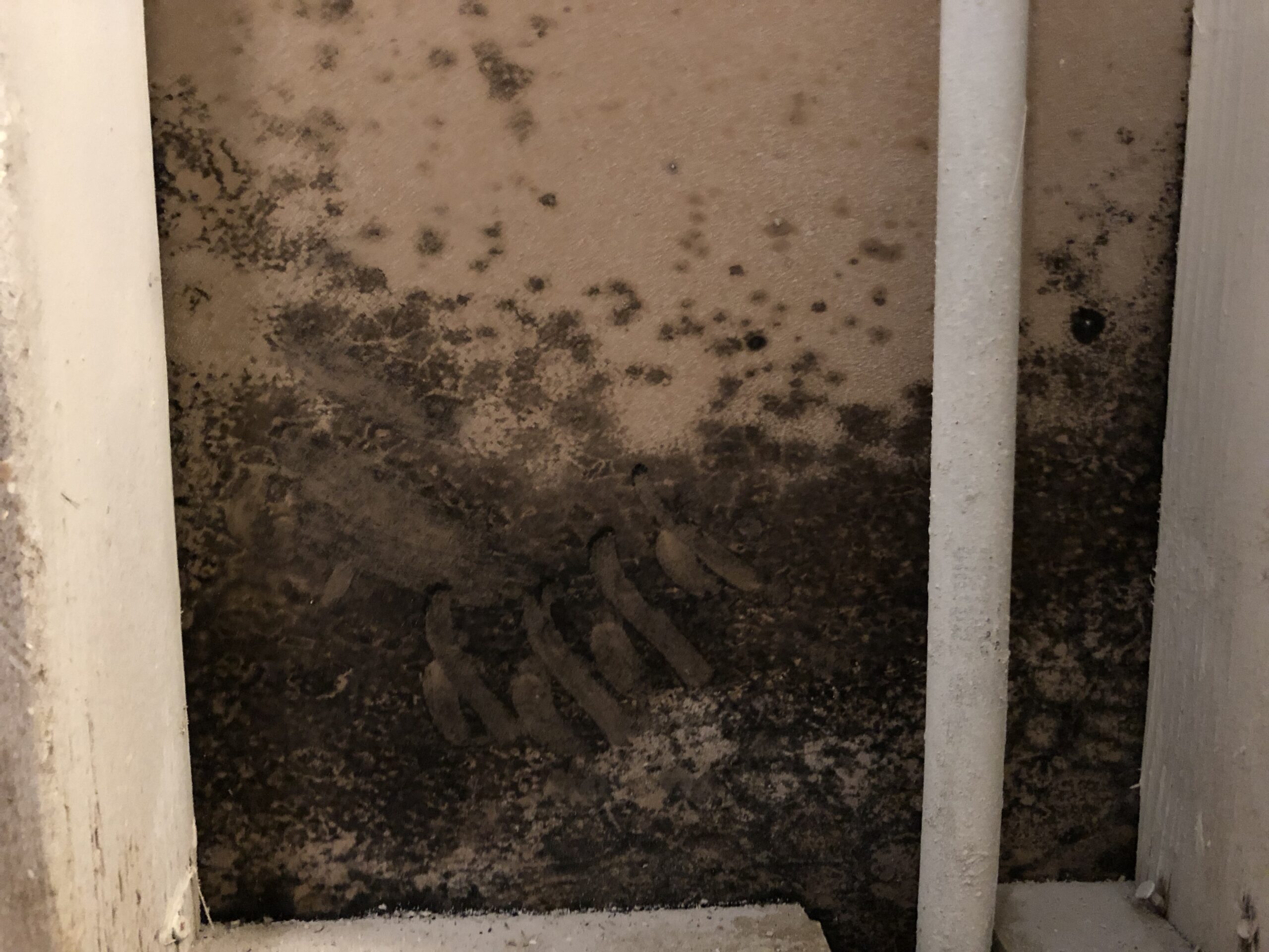 Eliminating Mold Without Tearing Out Drywall: The Power of Smart Nano Purification